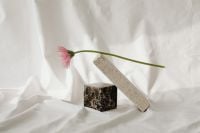 Kaboompics - Delicate Flower Arrangement with White Fabric Folds