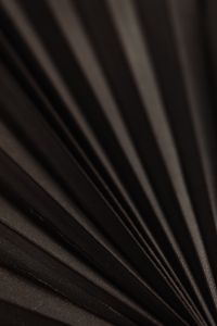 Kaboompics - Soft-Focus Dark Palm Leaf Folds in a Blurred Macro Background