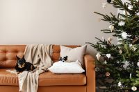 Kaboompics - Two Dogs on Sofa beside Christmas Tree