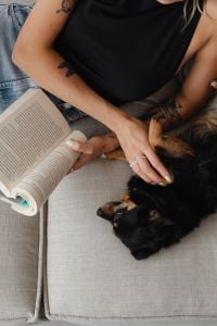 Kaboompics - Overhead View of a Woman Reading and Petting Her Dog