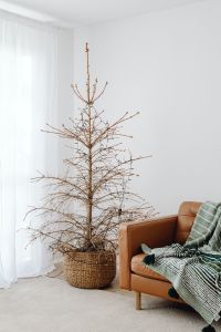 Kaboompics - Bare Winter Branch Tree in Woven Basket
