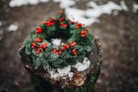 Kaboompics - Holly Wreath with Snowy Branches and Festive Red Berries