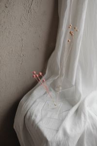 Kaboompics - Sparse Dried Stems In Clear Glass Vases On White Fabric