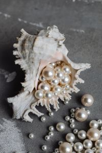 Kaboompics - Seashell Filled with Pearls on Gray Concrete with Copy Space Above