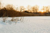 Kaboompics - Sunset Glow Behind Bare Trees Over a Snowy Field