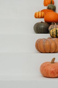 Kaboompics - Autumn Pumpkins on White Steps with Negative Space