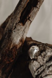 Kaboompics - Sculptural Silver Ring Nestled in Broken Driftwood
