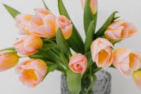Kaboompics - Pastel Tulip Bouquet in Soft Natural Light for Spring Floral Editorials and Social Posts