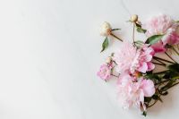 Kaboompics - Pink Peony Bouquet on Right with Marble Copy Space