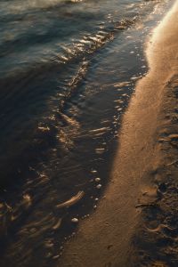 Kaboompics - Golden Hour Wave Breaking on Wet Sand Beach Background