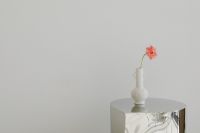 Kaboompics - White Sculptural Vase with Single Flower on Mirrored Pedestal