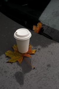 Kaboompics - Coffee Cup and Autumn Leaves on Rainy Car Hood
