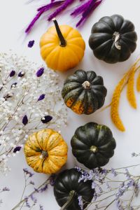 Small yellow and dark green pumpkins on a white background