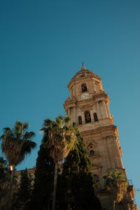 Kaboompics - Malaga Bell Tower and Palm Trees