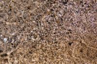 Kaboompics - Soft Focus Shallow Seawater over Fine Pebble Beach Texture