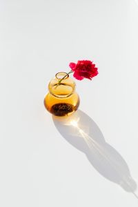 Kaboompics - Bright Red Carnation in a Small Amber Glass Bud Vase on White