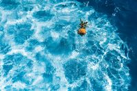 Kaboompics - Baby Pineapple in a swimming pool