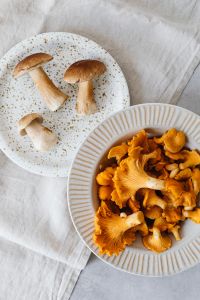 Kaboompics - Boletes and Chanterelles in a Layered Tabletop Still Life