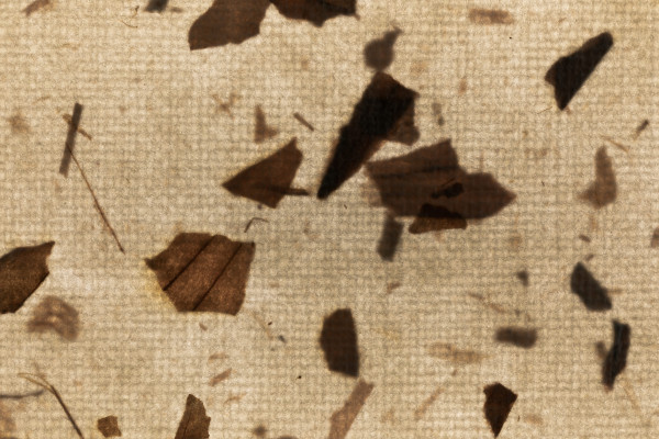 Natural Paper With Botanical Fibers. Ideal for paper texture background ...