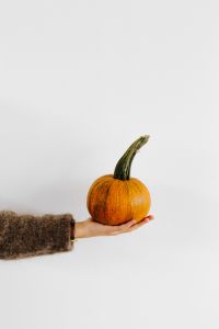 Kaboompics - Hand Holding Pumpkin on White Background