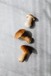 Kaboompics - Three Wild Mushrooms on Textured Gray Background
