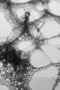 Kaboompics - Organic Bubble Structure With Irregular Circular Forms