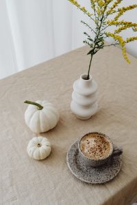 Kaboompics - White Pumpkin and Cappuccino beside a Goldenrod Vase on Beige Linen, Vertical Fall Still Life