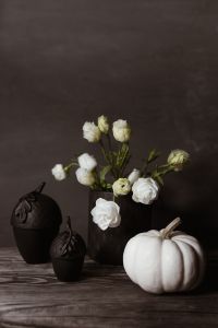Kaboompics - White Flowers and Pumpkins in Dark Moody Halloween Decor