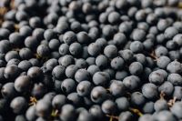 Kaboompics - Detailed Texture of Fresh Black Grapes