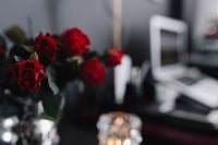 Kaboompics - Soft-Focus Roses and Laptop on a Pink Home Office Desk Background
