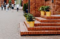 Kaboompics - Yellow Potted Shrubs on Brick Steps at Manufaktura Shopping Centre, Łódź