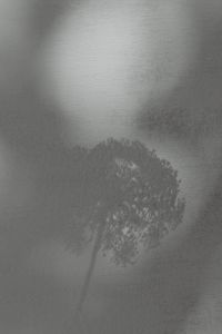Kaboompics - Bright and warm free backgrounds or wallpapers