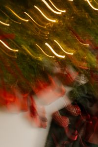 Kaboompics - Golden String Light Trails over Evergreen Branches and Red Gift Wrap