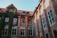 Kaboompics - Old building covered in vine