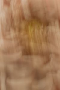Kaboompics - Vertical Motion Blur Cream Flower Macro