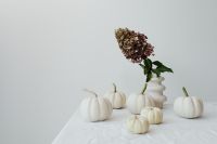 Kaboompics - Dried Hydrangea and White Pumpkins on a Minimal Table