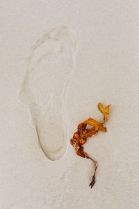 Kaboompics - Close-Up Footprint on Sandy Beach