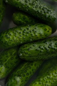 Kaboompics - Water-Dropped Green Cucumbers in a Dark Macro Food Close-Up