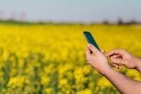 Kaboompics - Man using mobile phone