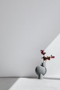 Kaboompics - Minimalist Gray Vase with Hellebores and Open Copy Space