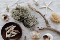 Kaboompics - Overhead Coastal Flat Lay with Seashell Bowl, Driftwood, Starfish and Natural Textures