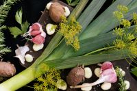 Kaboompics - Leek and Herbs on a Black Background