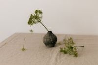 Kaboompics - Dill Umbel with a Dark Decorative Object on Linen
