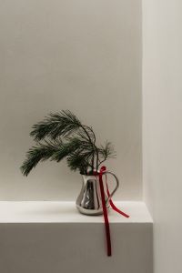 Kaboompics - Pine Branch in Silver Pitcher with Red Velvet Ribbon