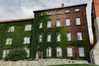 Kaboompics - Historic Brick Facade, Ivy and Limestone Wall in Krakow