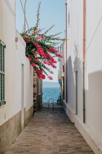 Kaboompics - Narrow Calasetta Alley Opening to the Sea