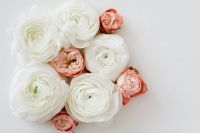 Kaboompics - Wide Ranunculus and Blush Flower Cluster with Beige Copy Space on Right