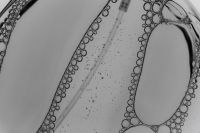 Kaboompics - Abstract Perfume Liquid Texture Black And White