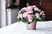Kaboompics - Pink roses in pot