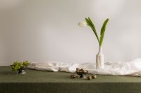 Kaboompics - Single White Tulip in a Sculptural Vase on Neutral Linen